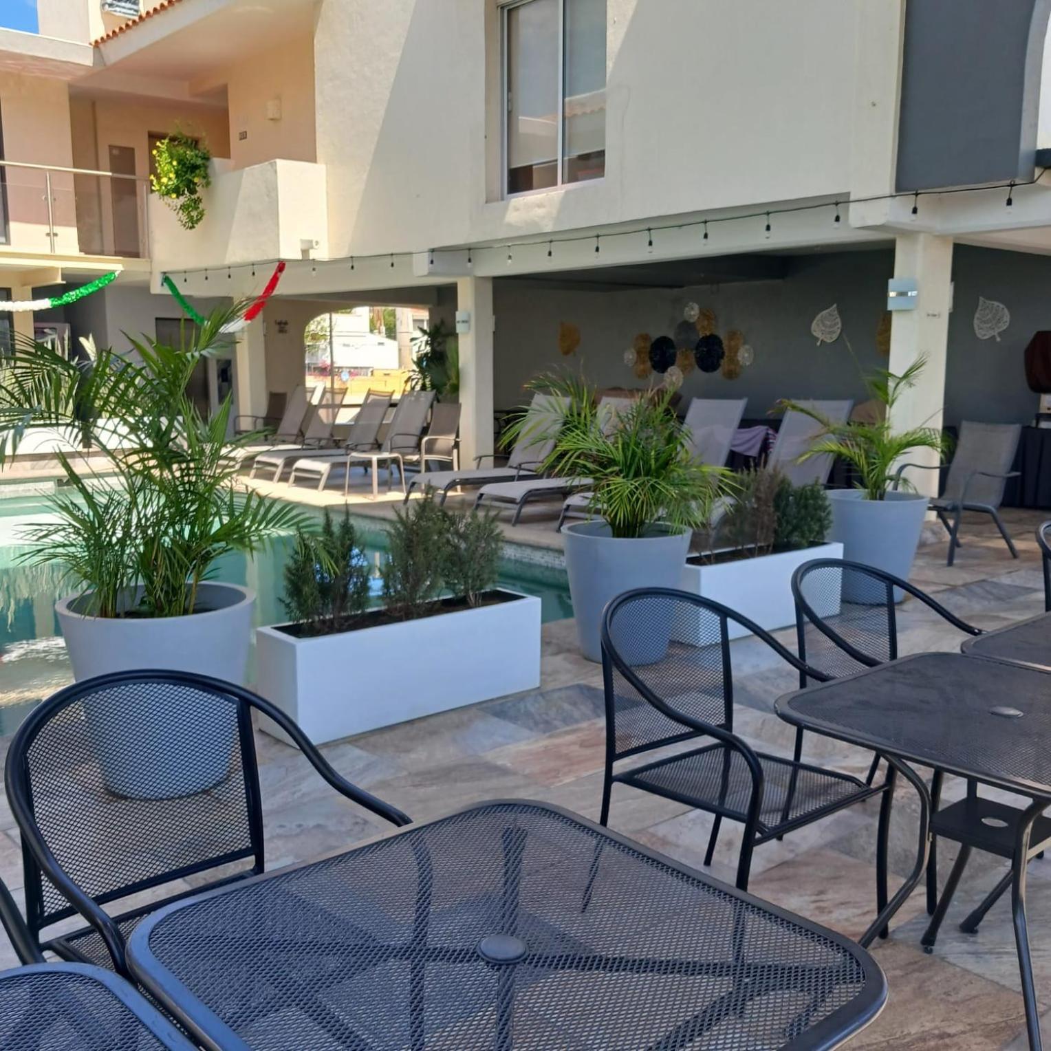 拉斯帕尔马斯套房酒店 San José del Cabo 外观 照片