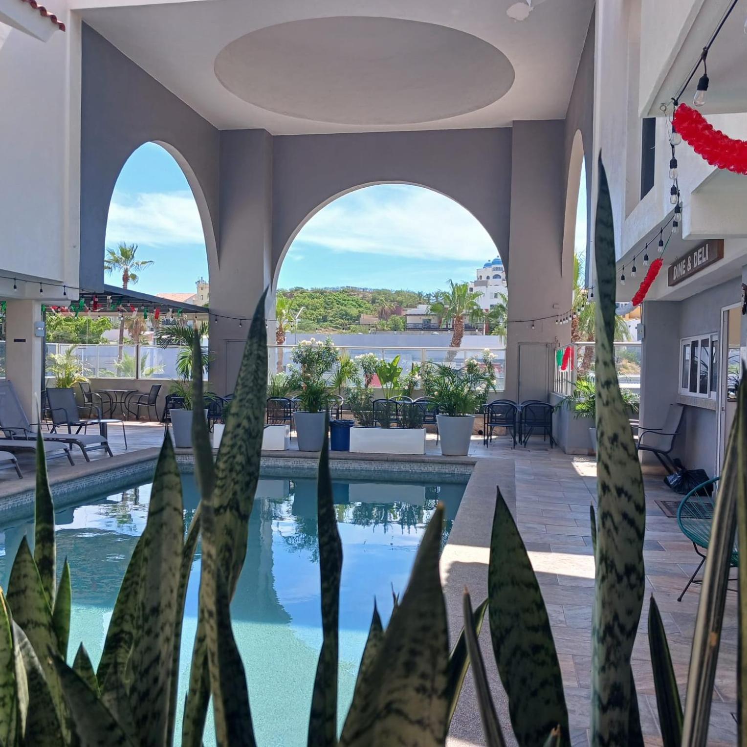 拉斯帕尔马斯套房酒店 San José del Cabo 外观 照片