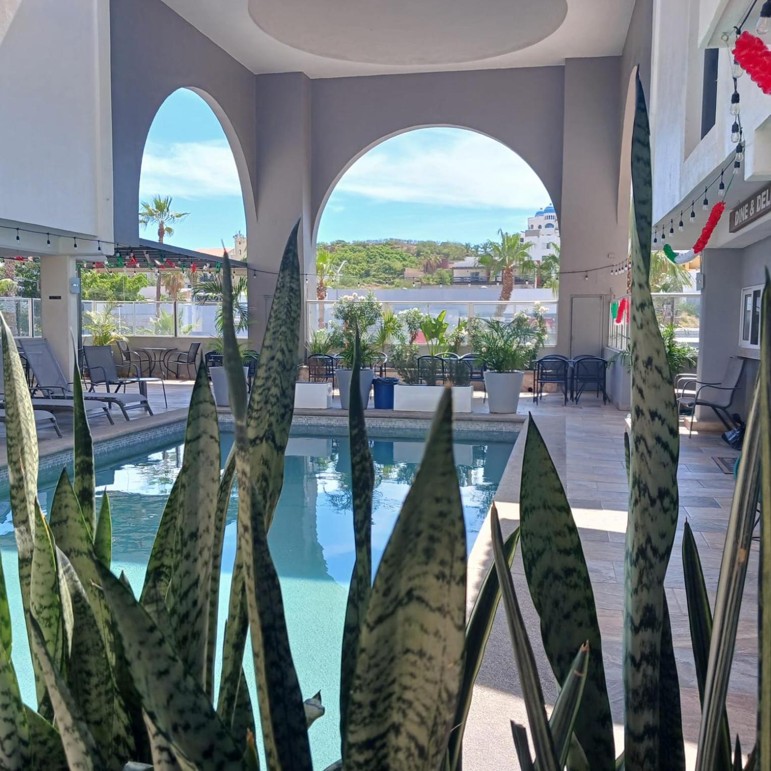 拉斯帕尔马斯套房酒店 San José del Cabo 外观 照片